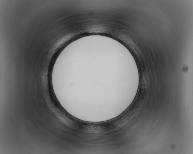 X0000101680535200808071111