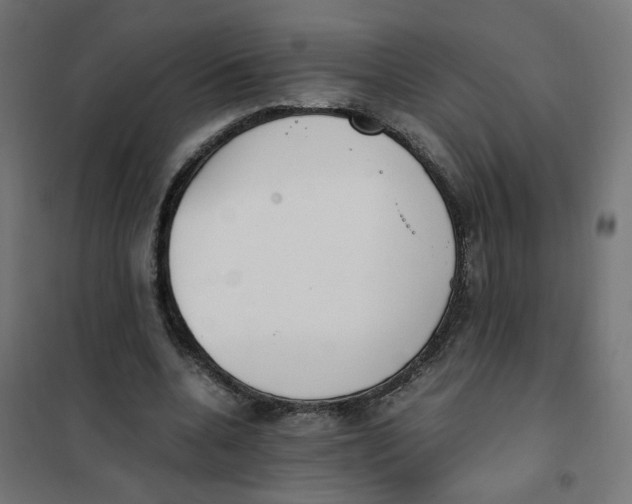 X0000101680536200808071111