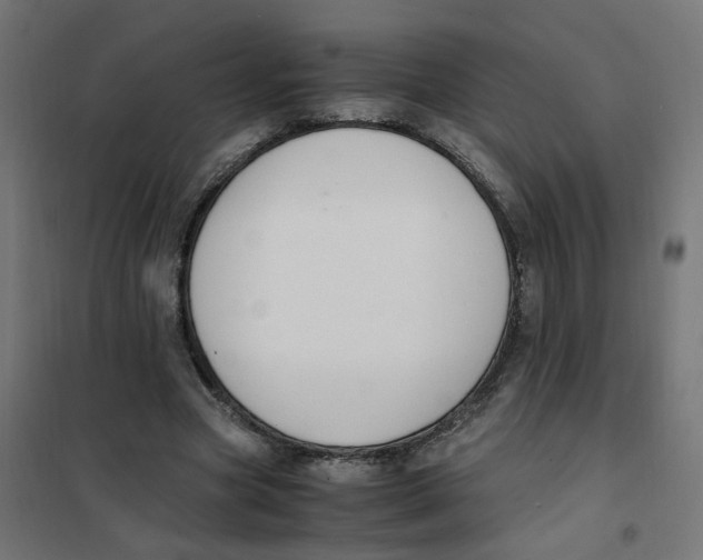 X0000101680537200808071111