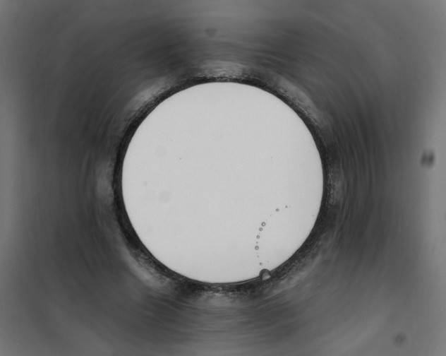 X0000101680538200808071111