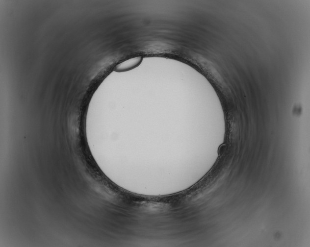 X0000101680539200808071111