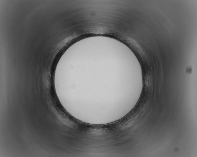 X0000101680540200808071111