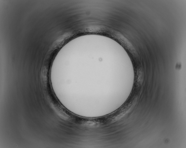 X0000101680542200808071111