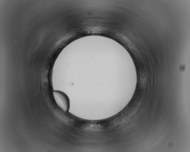 X0000101680543200808071111