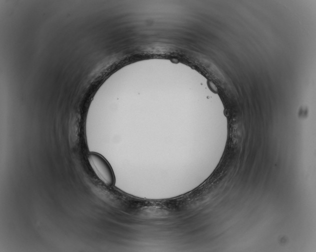 X0000101680544200808071111
