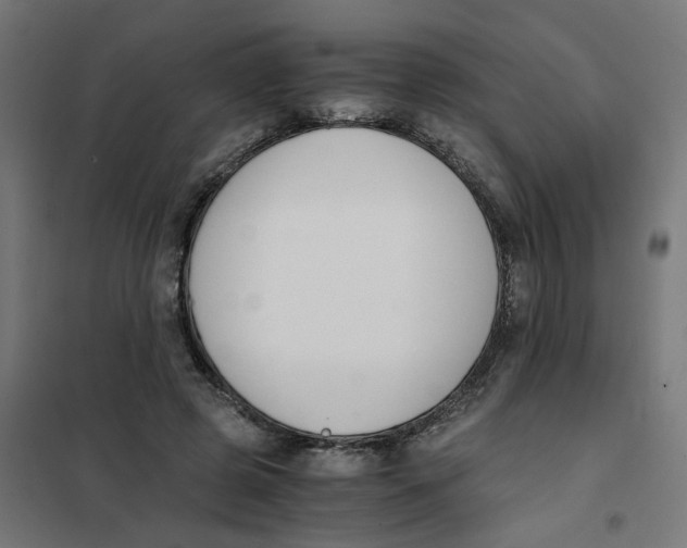 X0000101680545200808071111