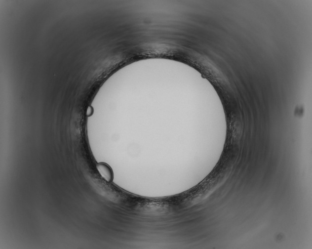 X0000101680546200808071111
