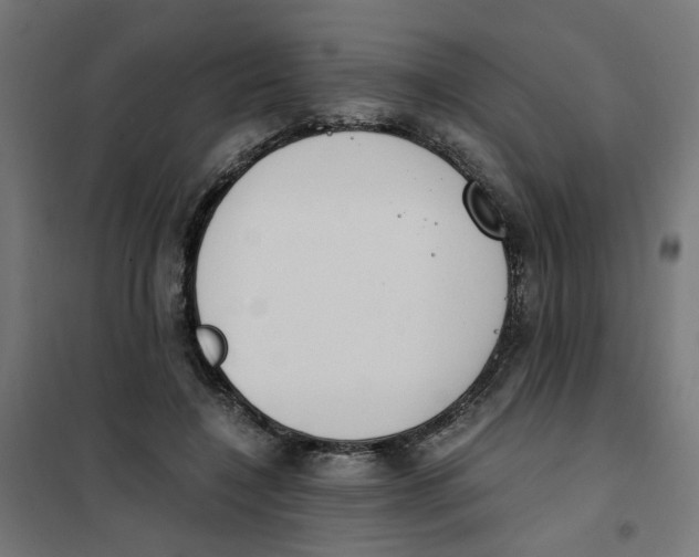 X0000101680548200808071111