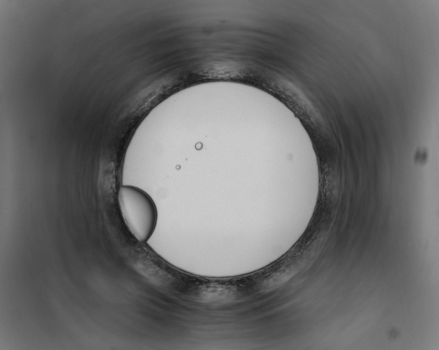 X0000101680549200808071111