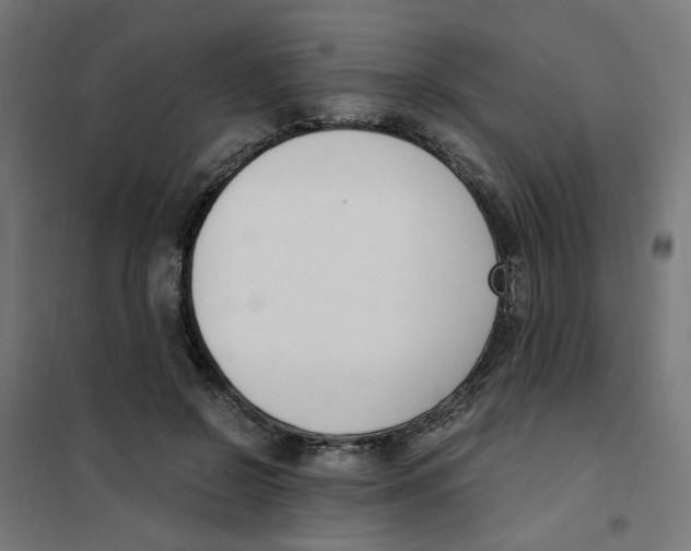 X0000101680550200808071111
