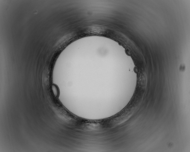 X0000101680552200808071111