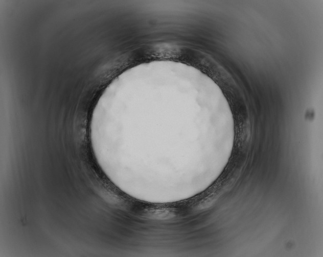 X0000101680553200808071111