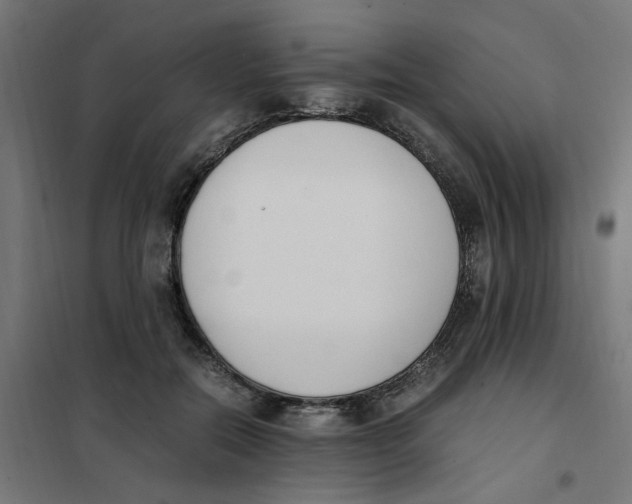 X0000101680554200808071111