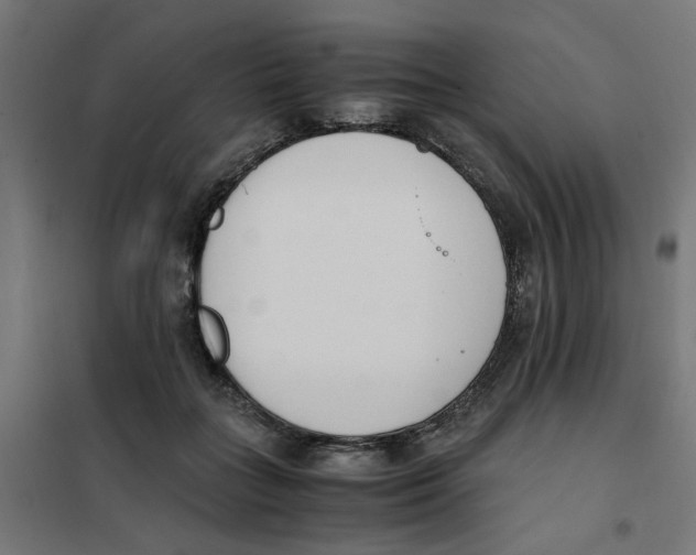 X0000101680555200808071111