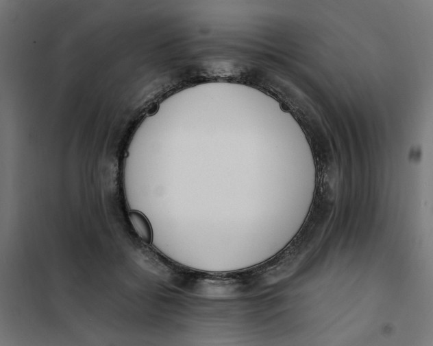 X0000101680556200808071111