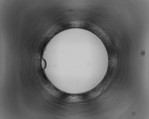 X0000101680557200808071111