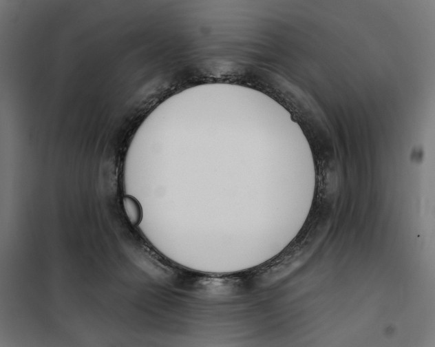X0000101680558200808071111