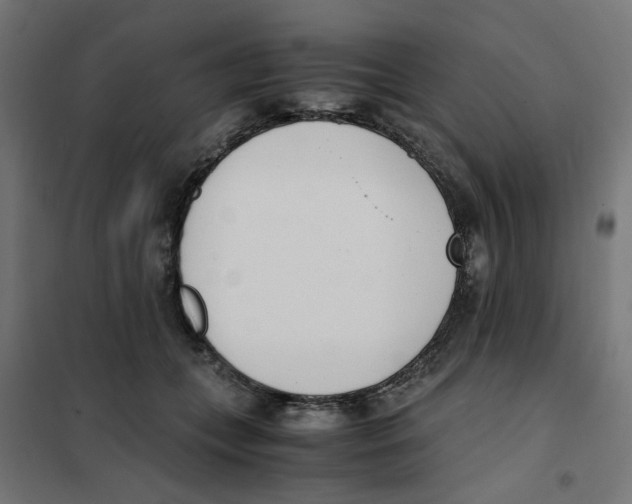 X0000101680559200808071111