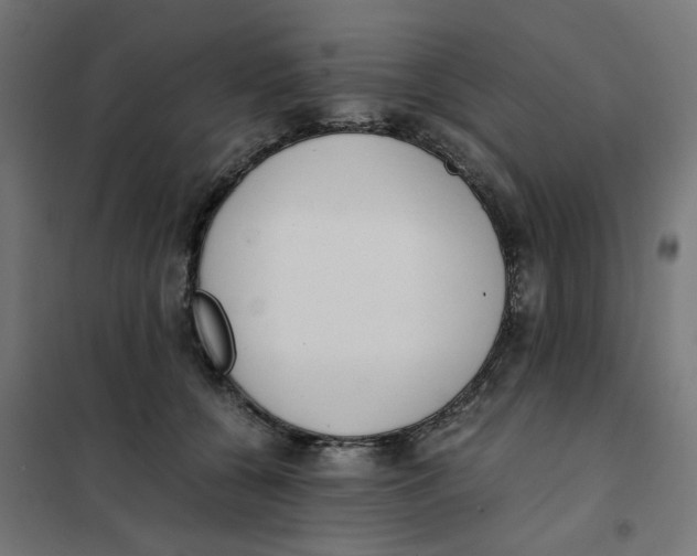 X0000101680560200808071112