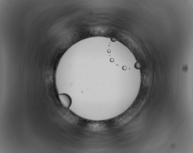 X0000101680561200808071112