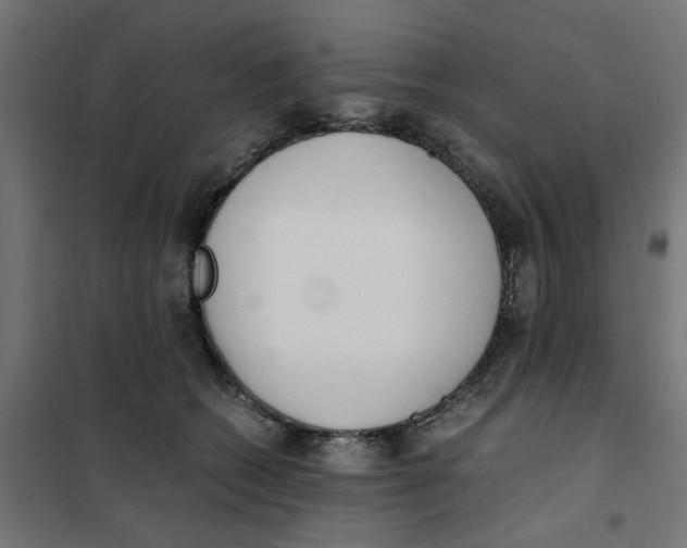 X0000101680562200808071112
