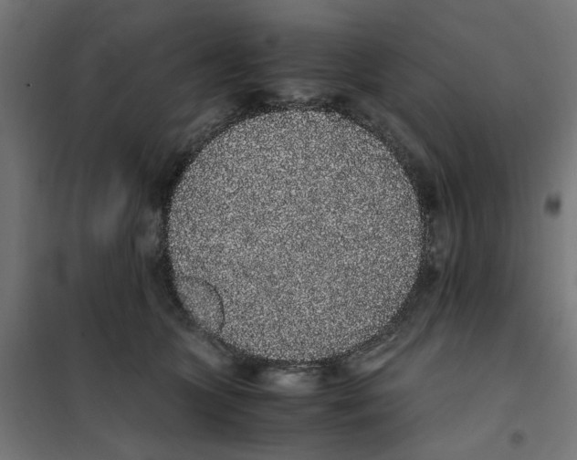 X0000101680563200808071112