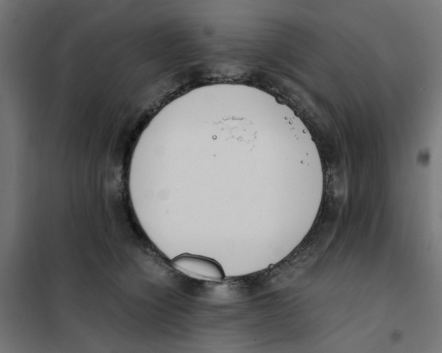 X0000101680564200808071112