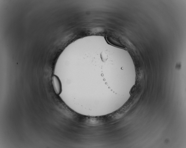 X0000101680565200808071112