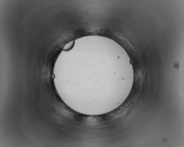 X0000101680566200808071112