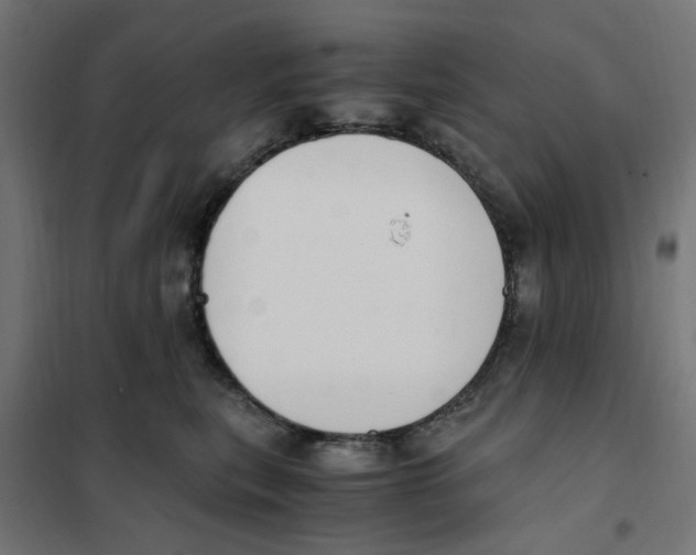 X0000101680567200808071112
