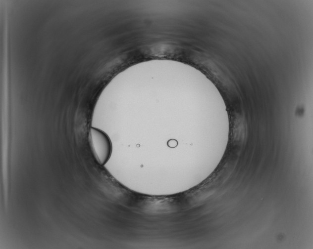 X0000101680569200808071112