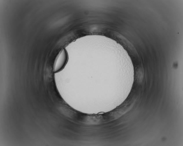 X0000101680571200808071112