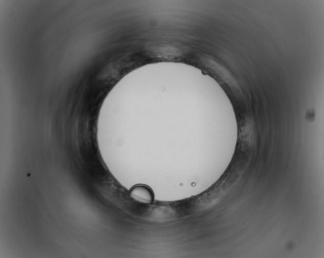 X0000101680572200808071112