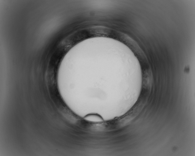 X0000101680573200808071112