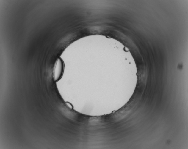 X0000101680574200808071112
