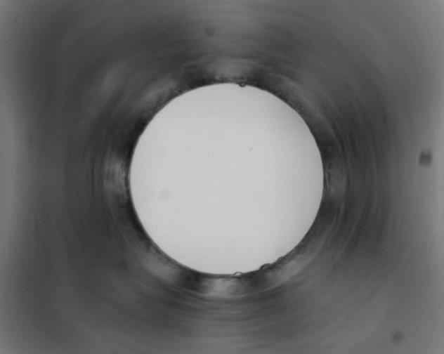 X0000101680575200808071112