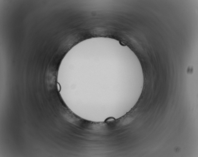 X0000101680576200808071112