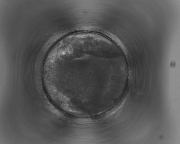 X0000101680577200808071111