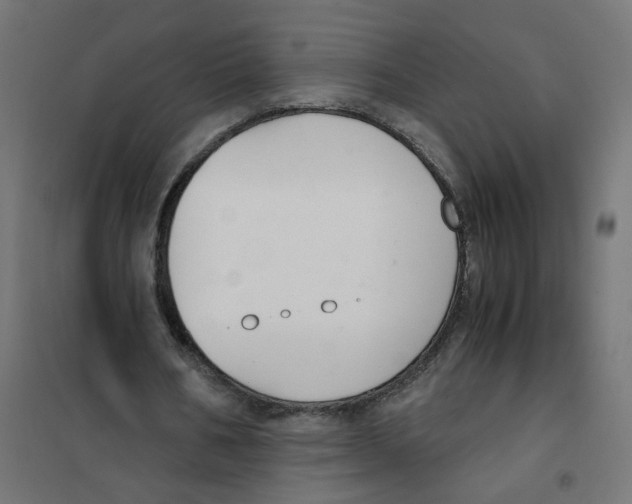 X0000101680578200808071111