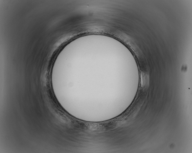 X0000101680579200808071111