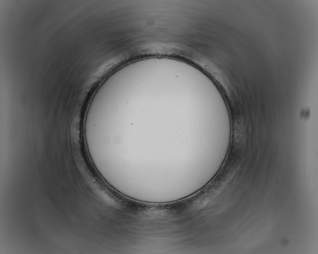 X0000101680581200808071111