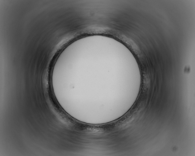 X0000101680582200808071111