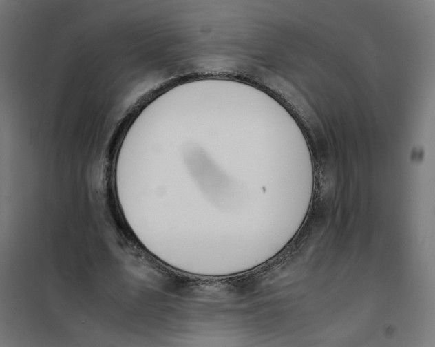 X0000101680583200808071111