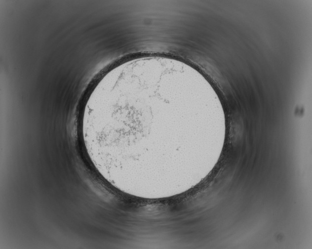 X0000101680584200808071111