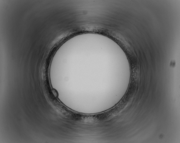 X0000101680587200808071111