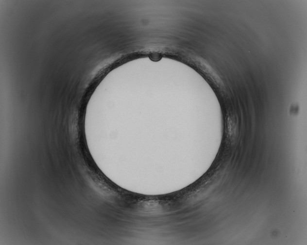 X0000101680588200808071111
