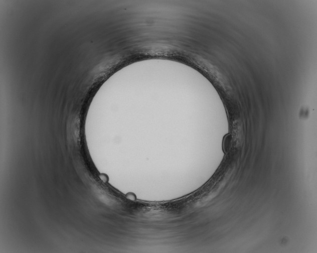 X0000101680589200808071111
