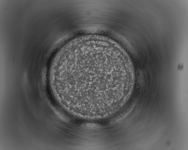 X0000101680590200808071111