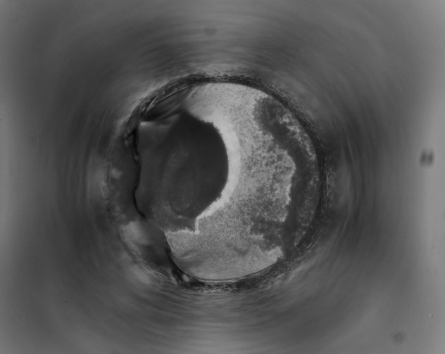 X0000101680592200808071111