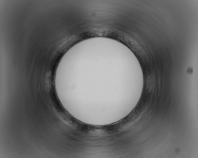 X0000101680594200808071111